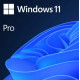 Microsoft Windows 11 Pro (License only / No DVD) Microsoft Windows 11 Pro (License only / No DVD)